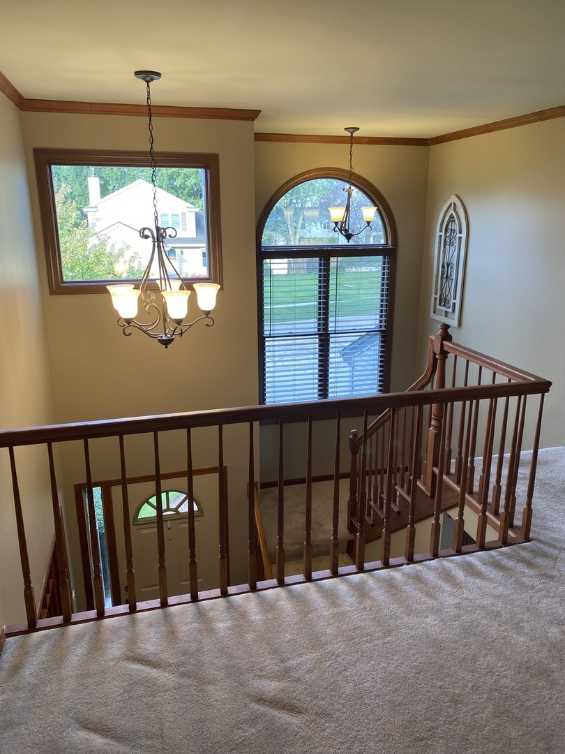 10616 Carl Street Property Photo 4
