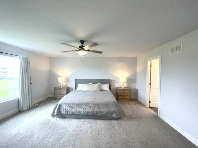 24509 S Saint Paul Avenue Property Photo 17