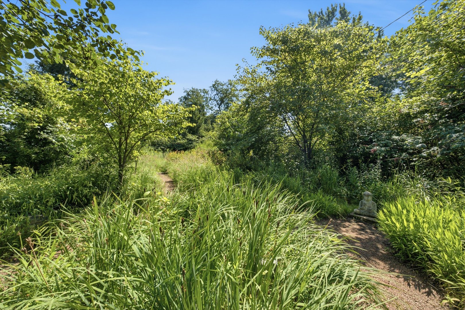 327 Selborne Road Property Photo 37