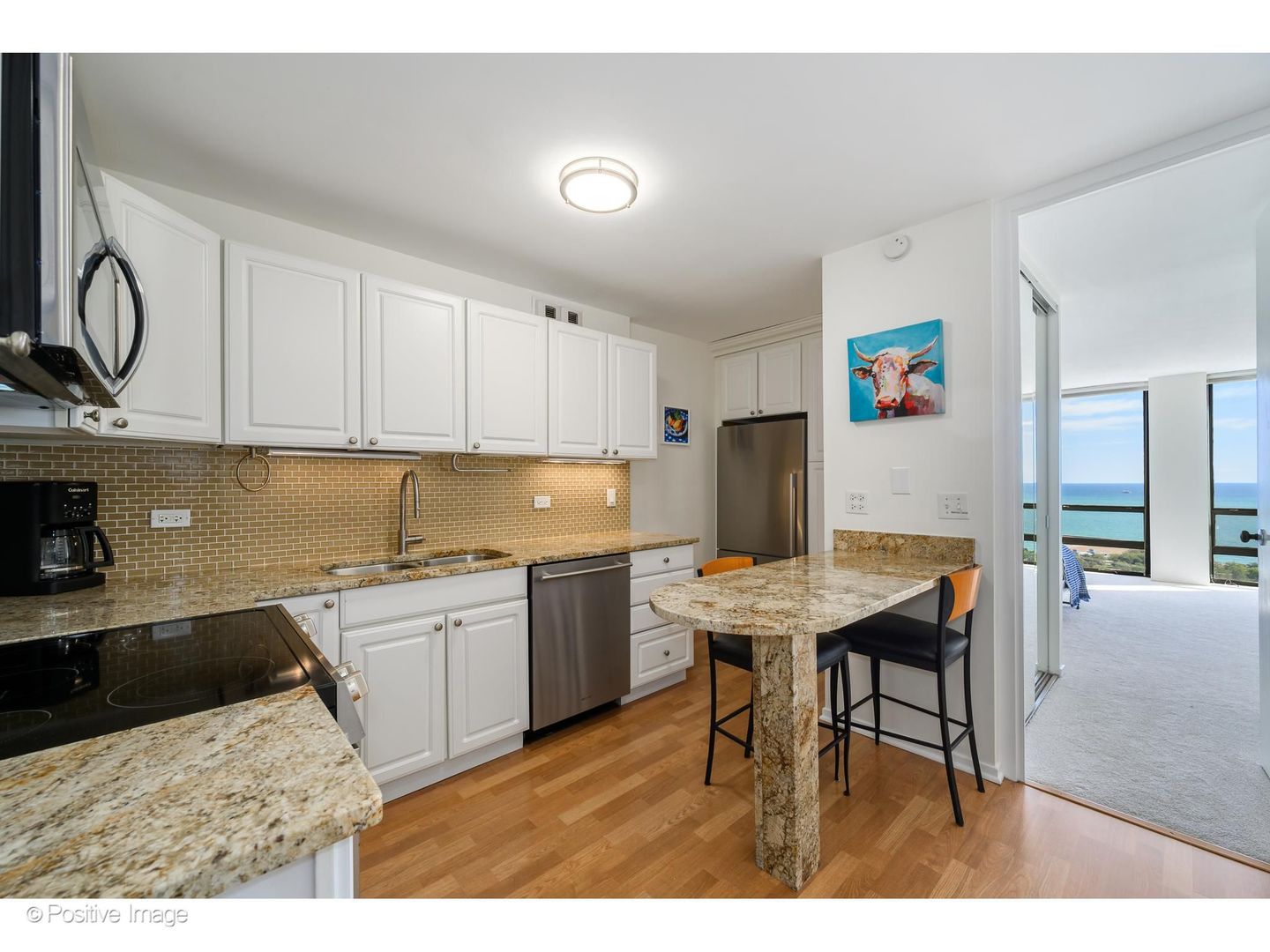 1660 N Lasalle Drive 3403 Property Photo 8