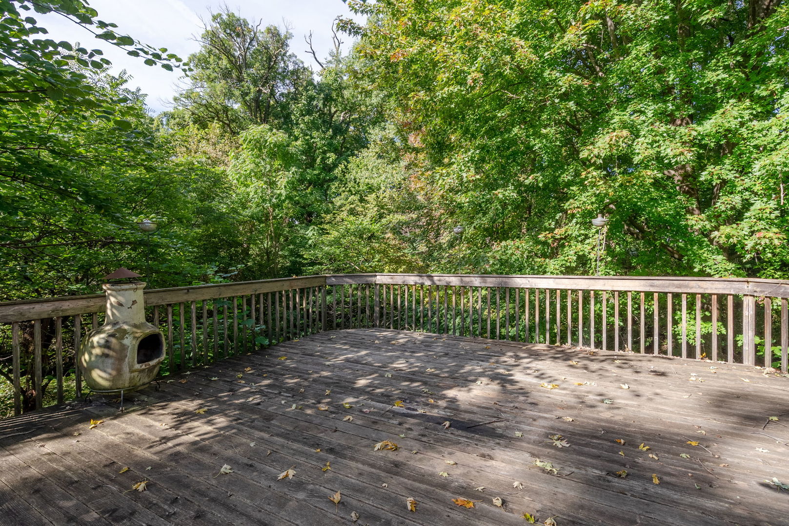 332 Forest Road Property Photo 43