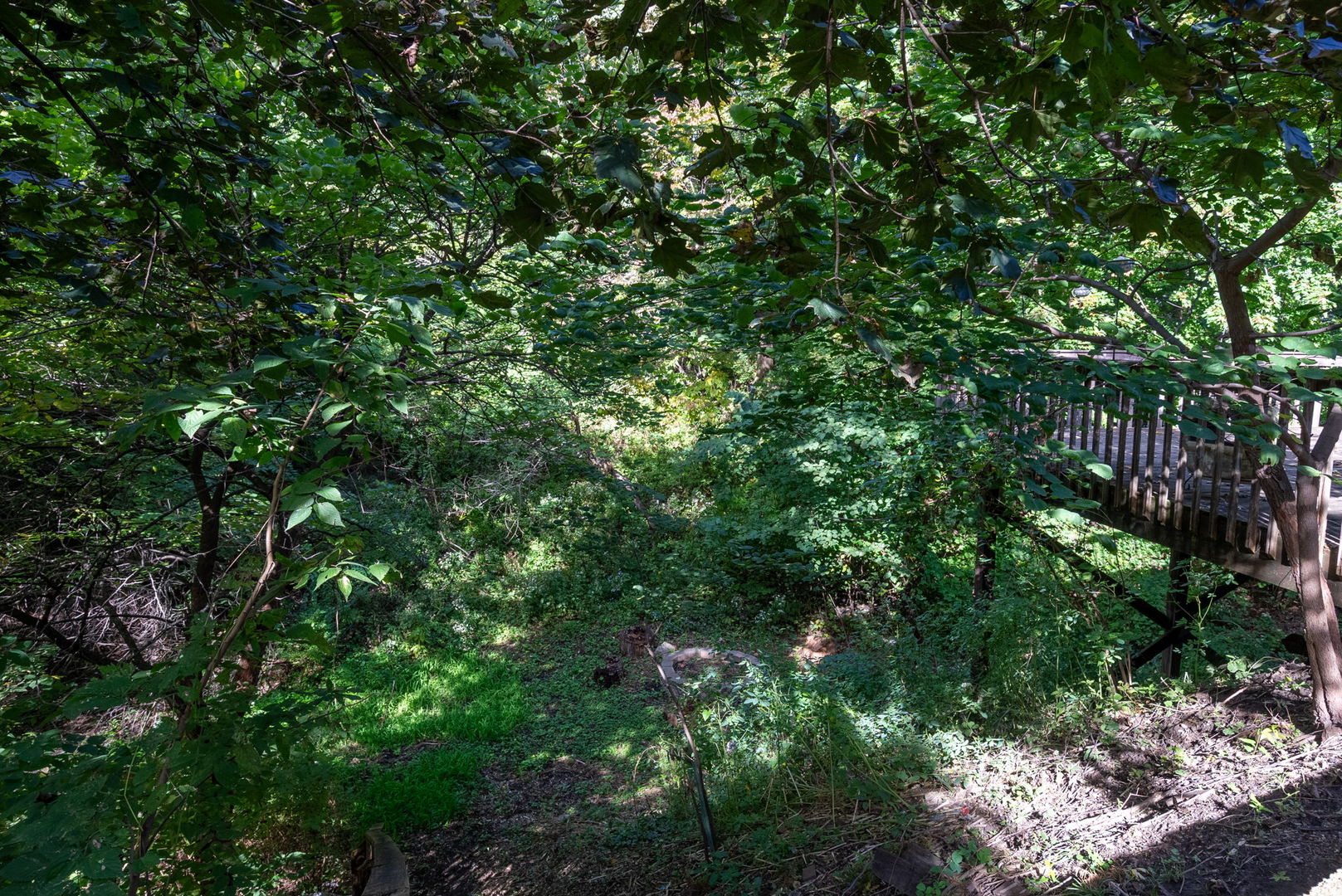 332 Forest Road Property Photo 44