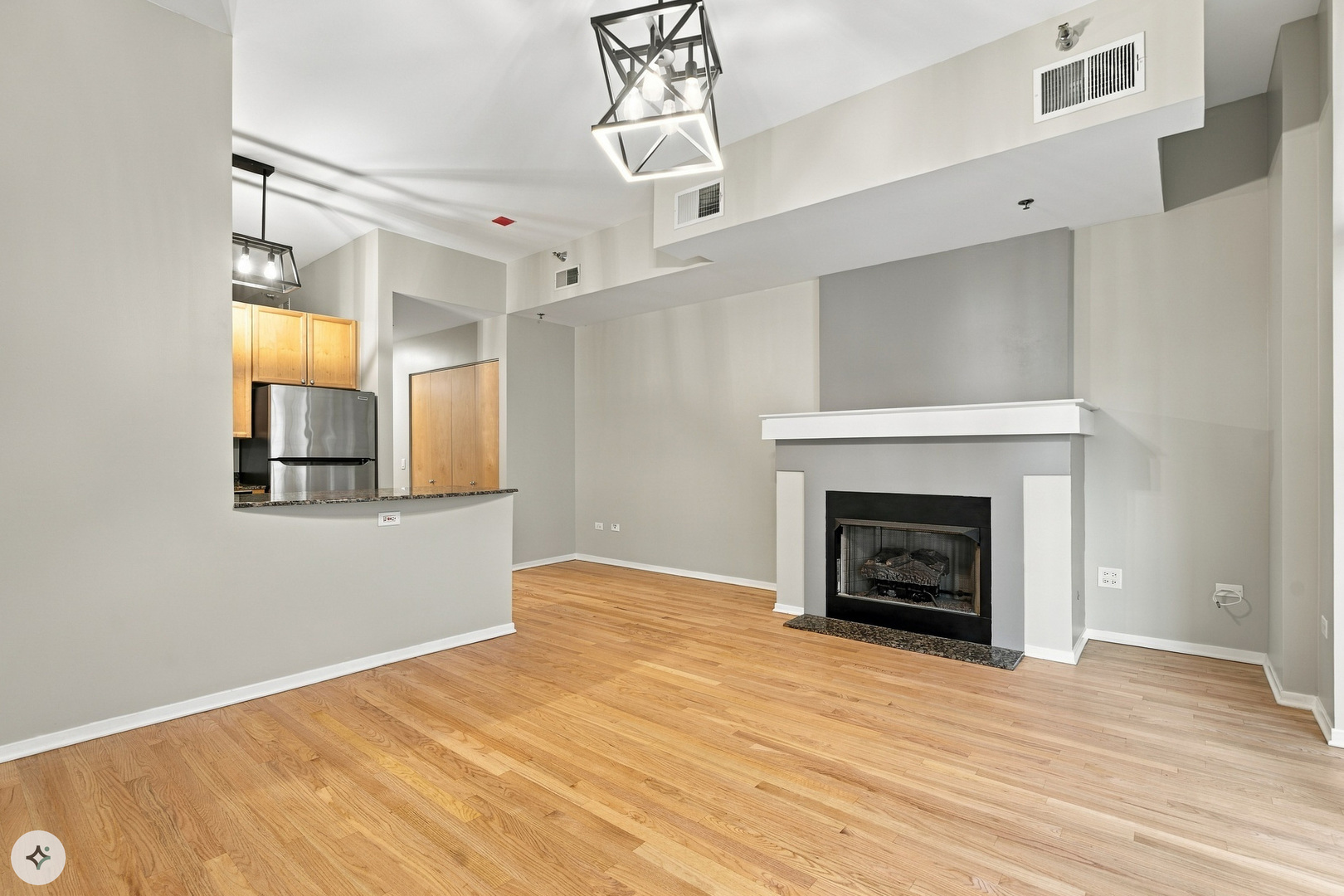 1201 W Adams Street 510 Property Photo 4