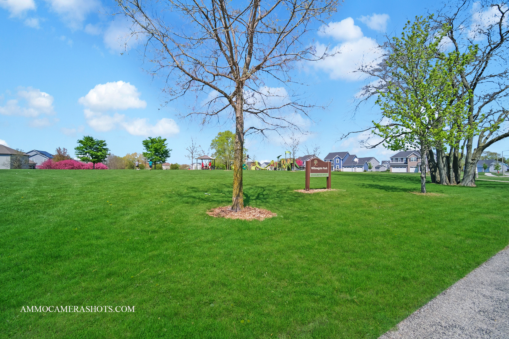 12504 S Cherry Blossom Boulevard Property Photo 39
