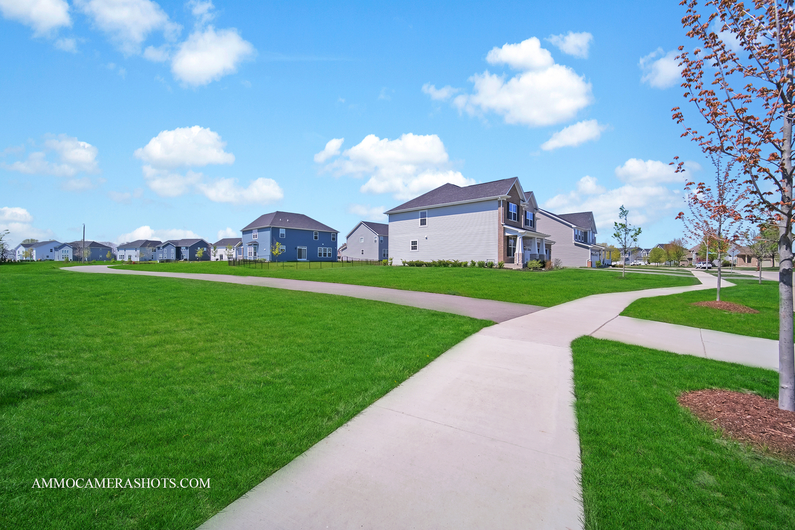 12504 S Cherry Blossom Boulevard Property Photo 41