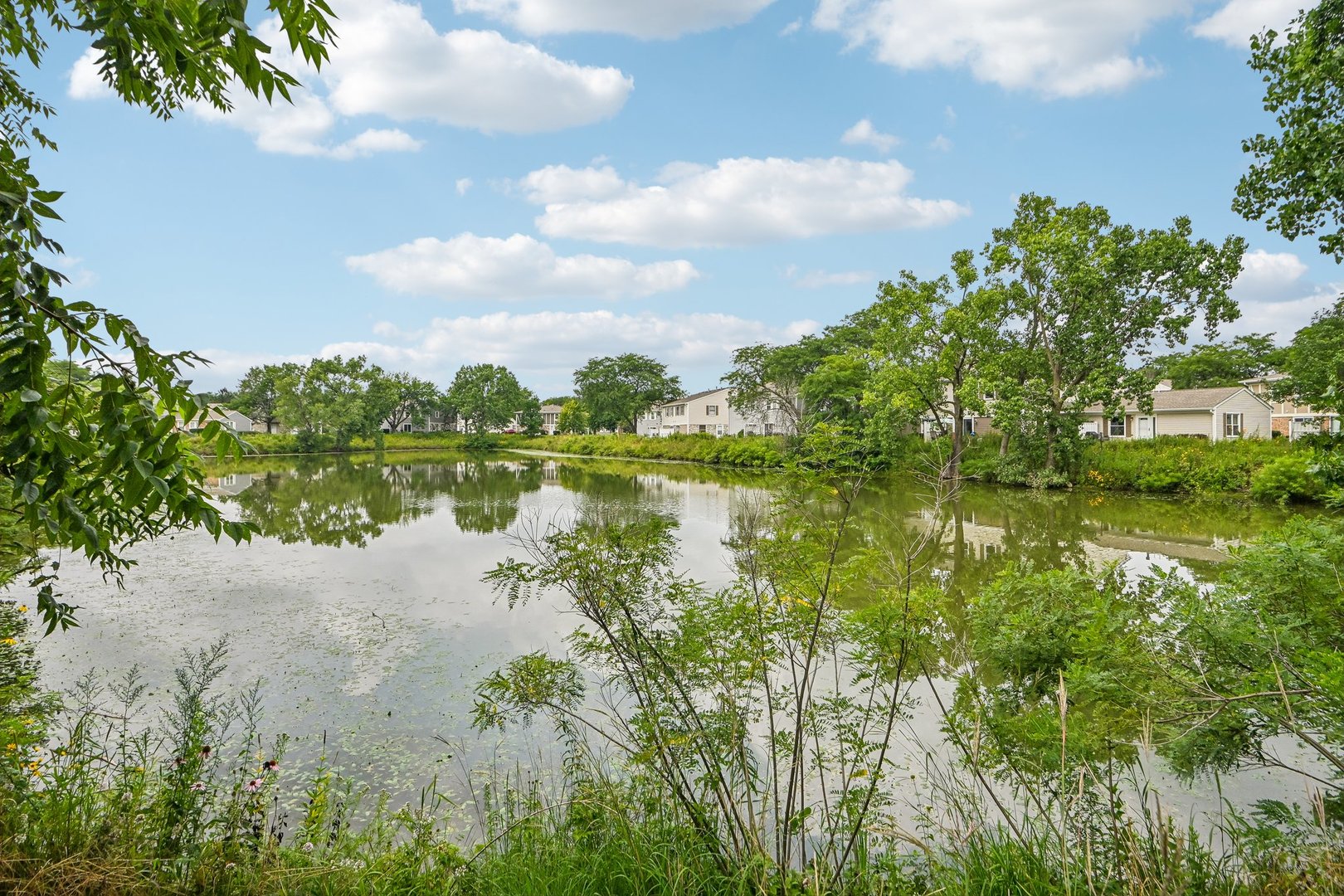 1146 Blackhawk Court Property Photo 12