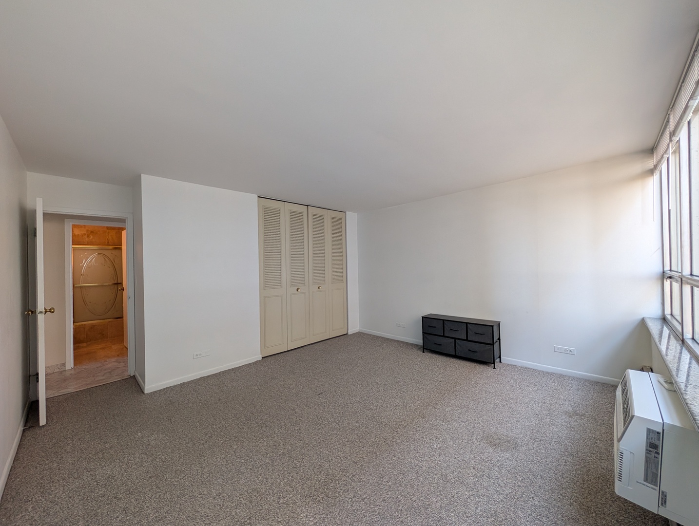 6171 N Sheridan Road 1412 Property Photo 17