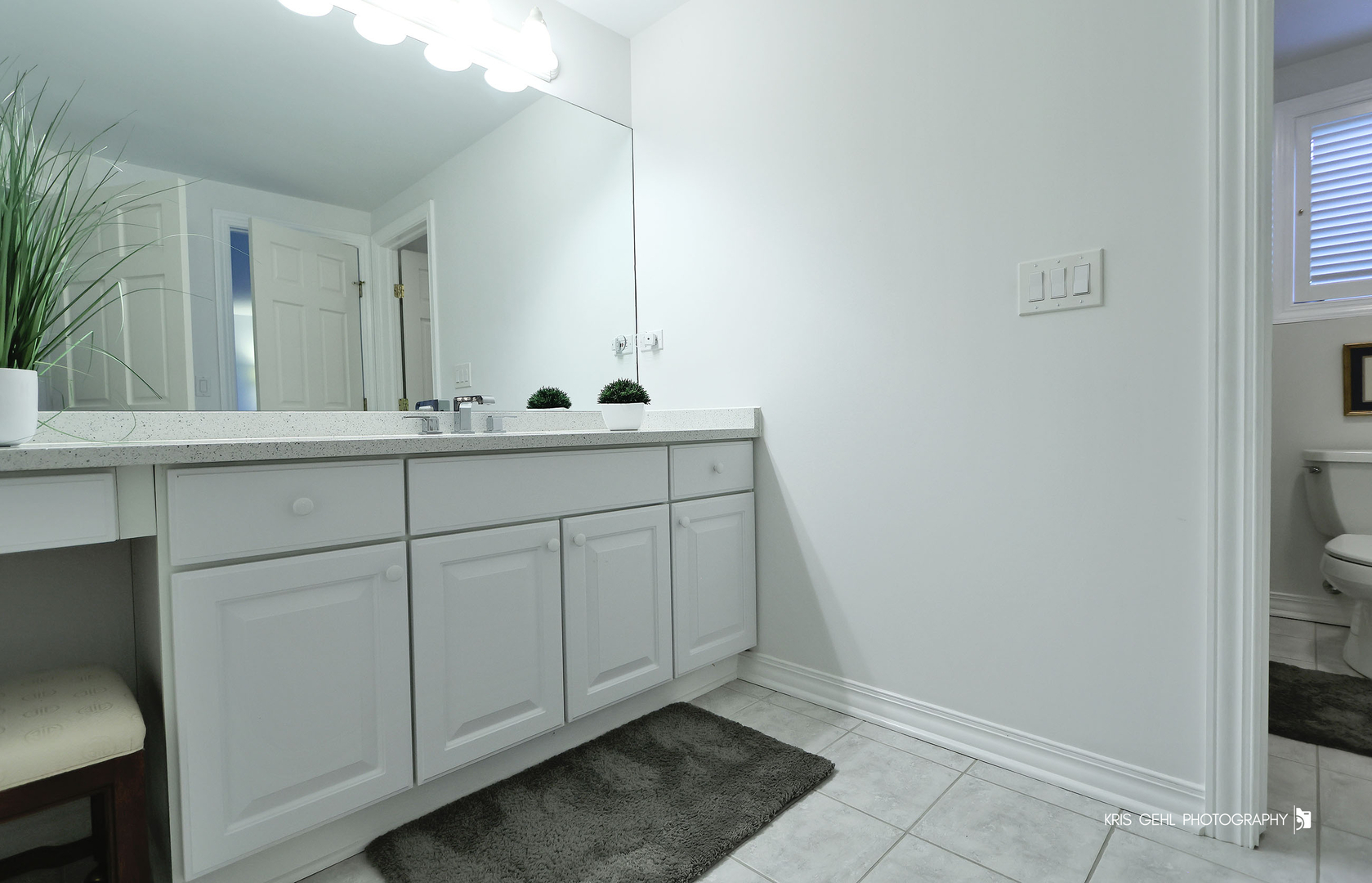 29051 N Cleek Court Property Photo 40