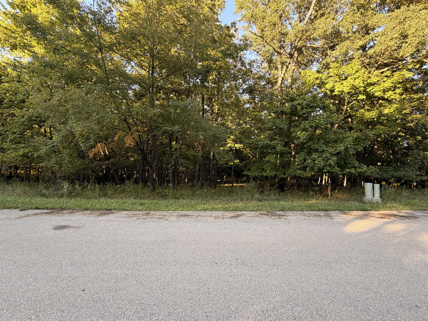 Lot 55 Eagle Chase Drive Property Photo 1