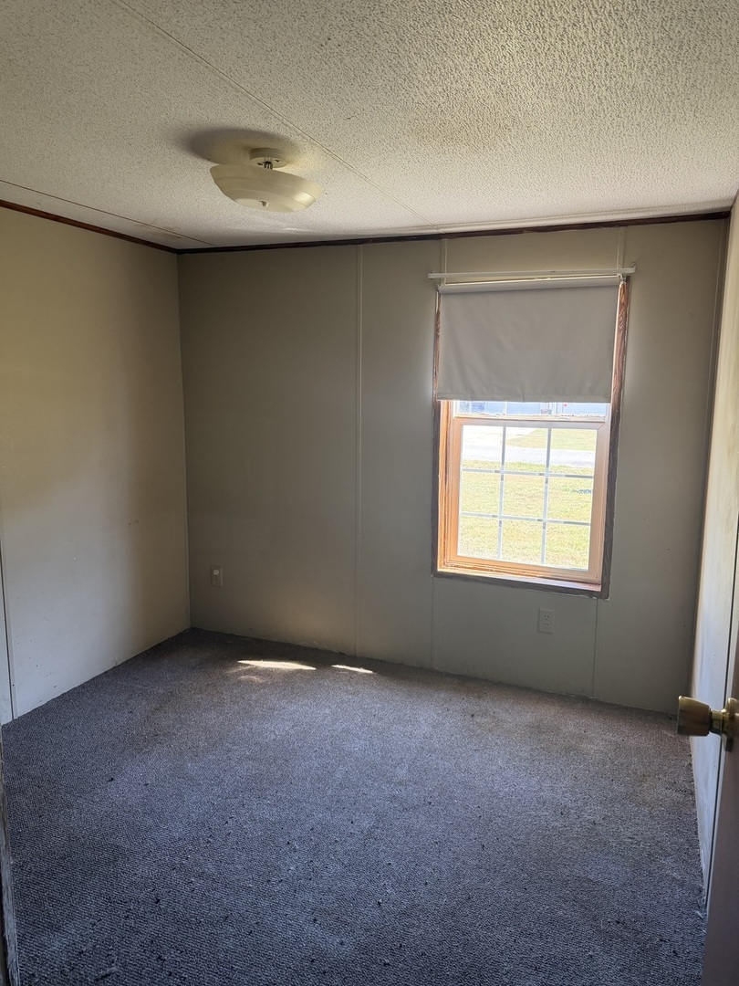 313 Leonard Street Property Photo 8