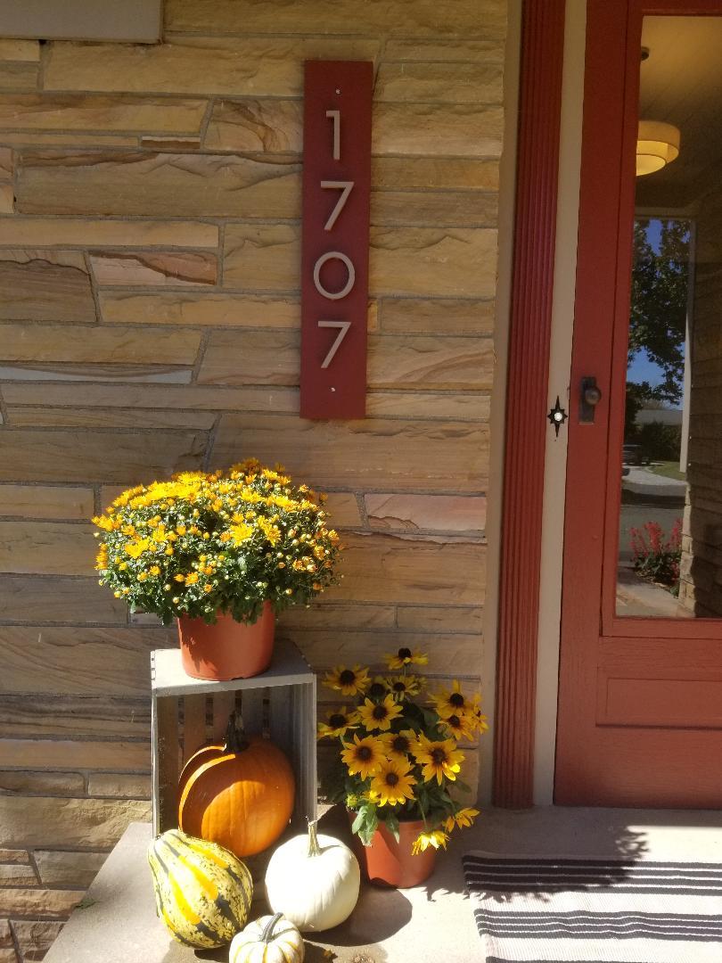 1707 Park Haven Drive Property Photo 13