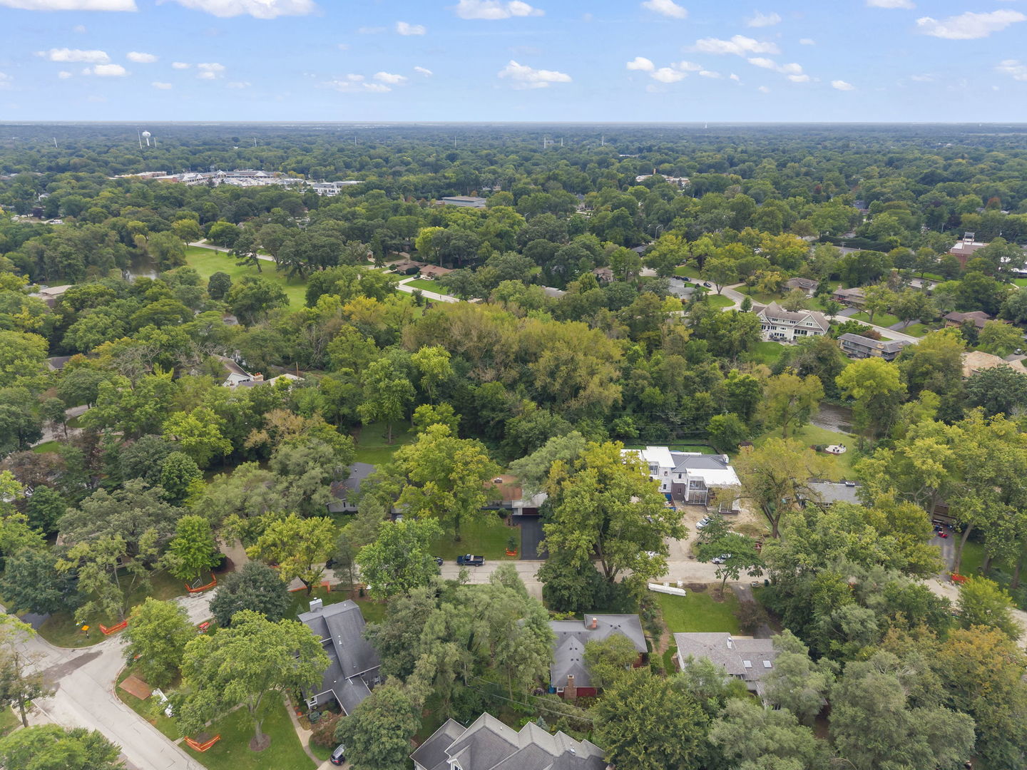 60 Golden Larch Court Property Photo 24
