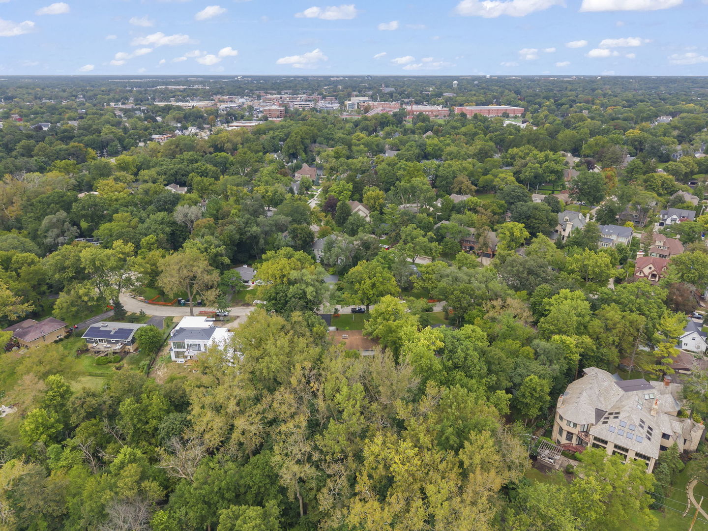 60 Golden Larch Court Property Photo 28