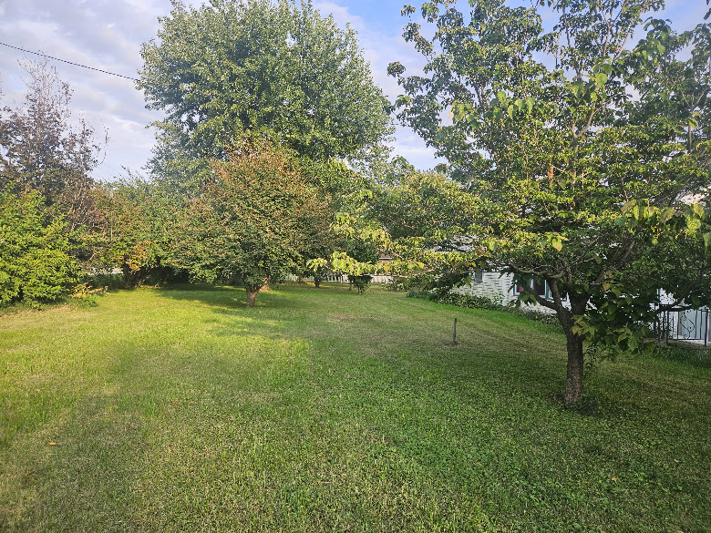 211 W Liberty Street Property Photo 4