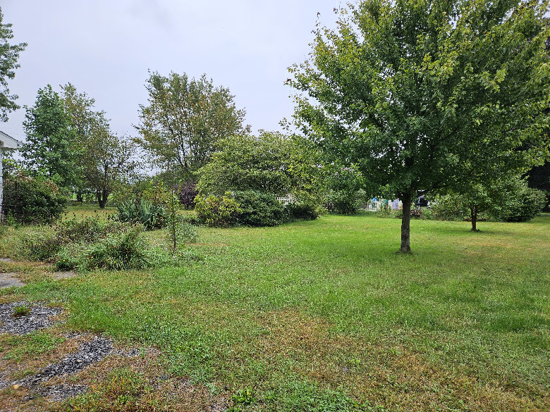 211 W Liberty Street Property Photo 24
