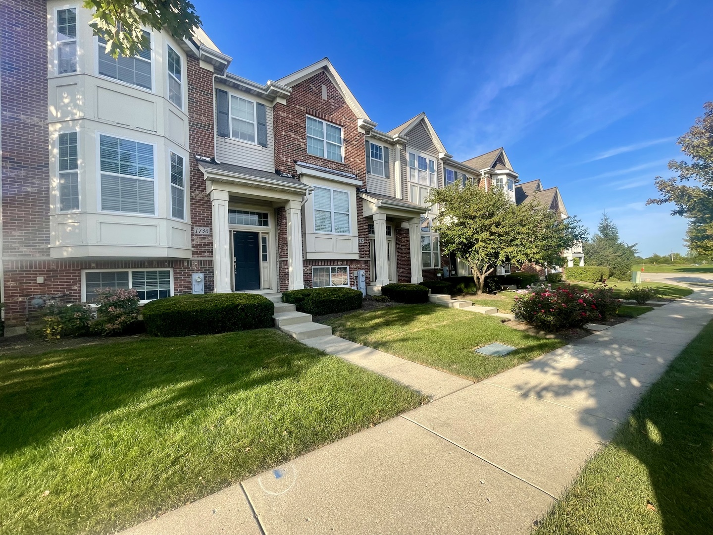 1736 Persimmon Street Property Photo 2