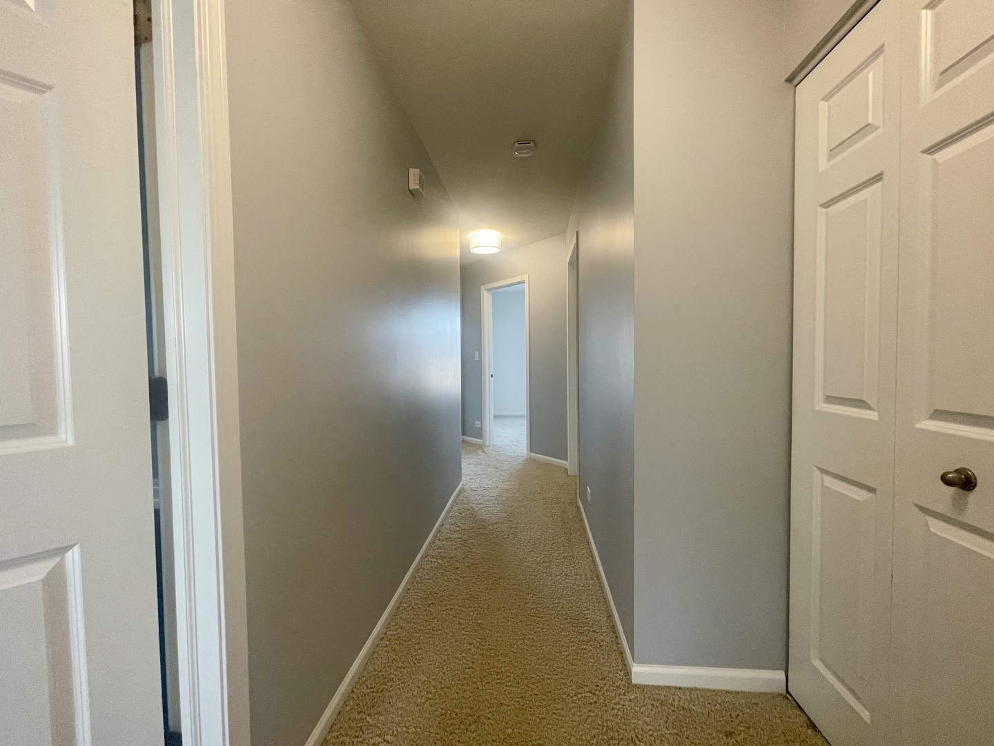1736 Persimmon Street Property Photo 18