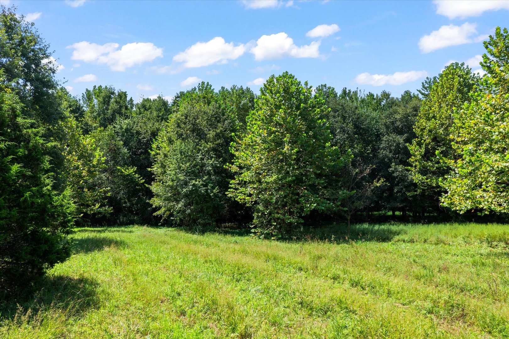 7302 River Road Property Photo 39