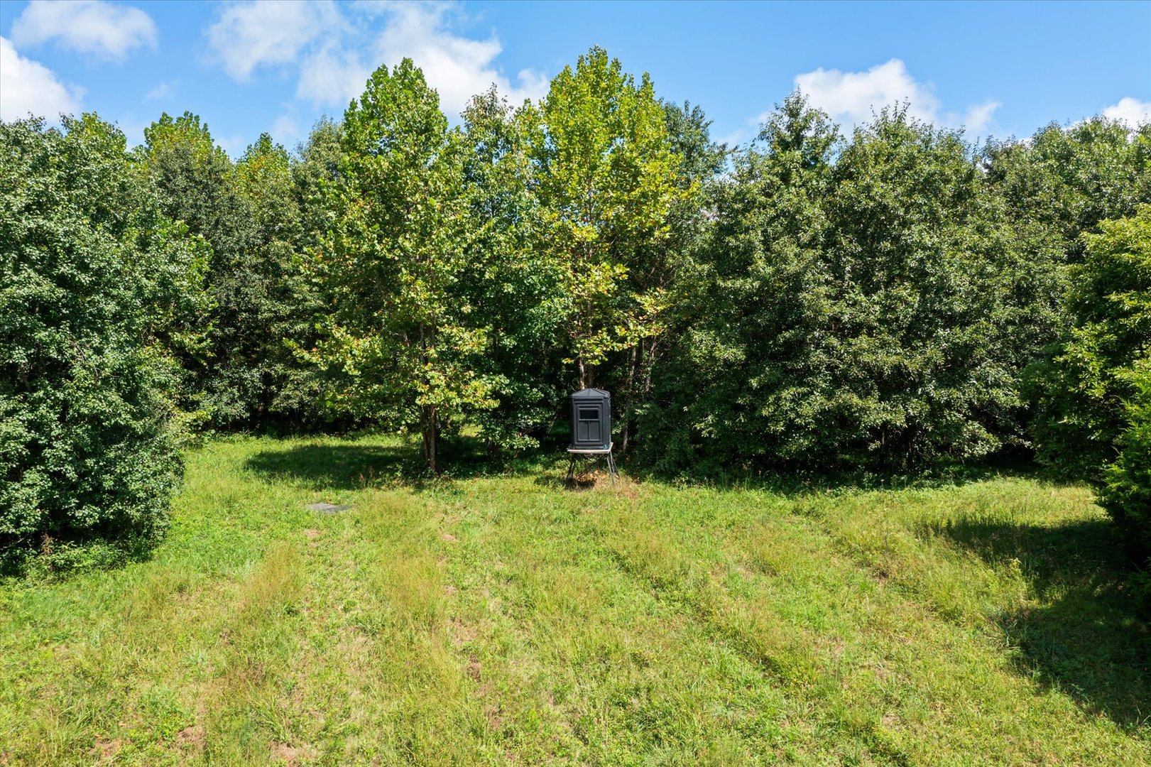 7302 River Road Property Photo 42