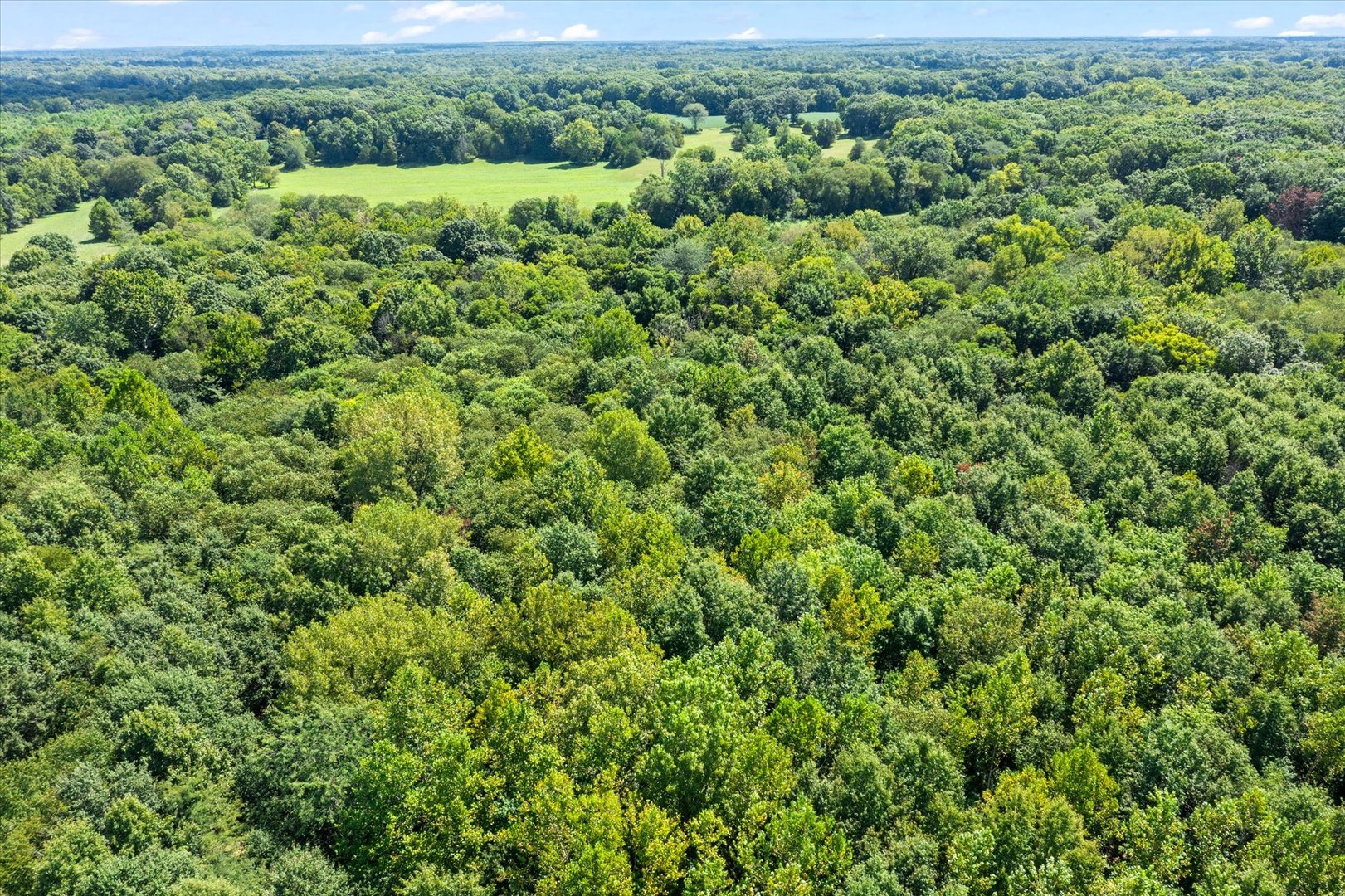 7302 River Road Property Photo 45