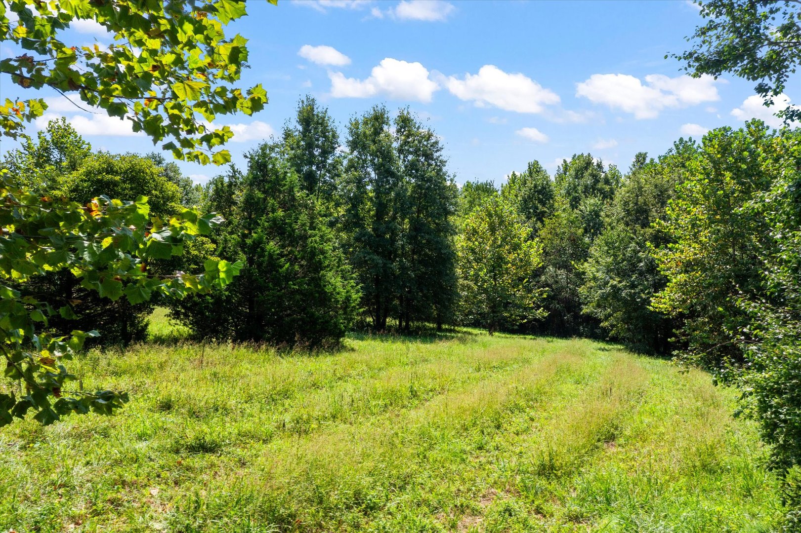 7302 River Road Property Photo 50