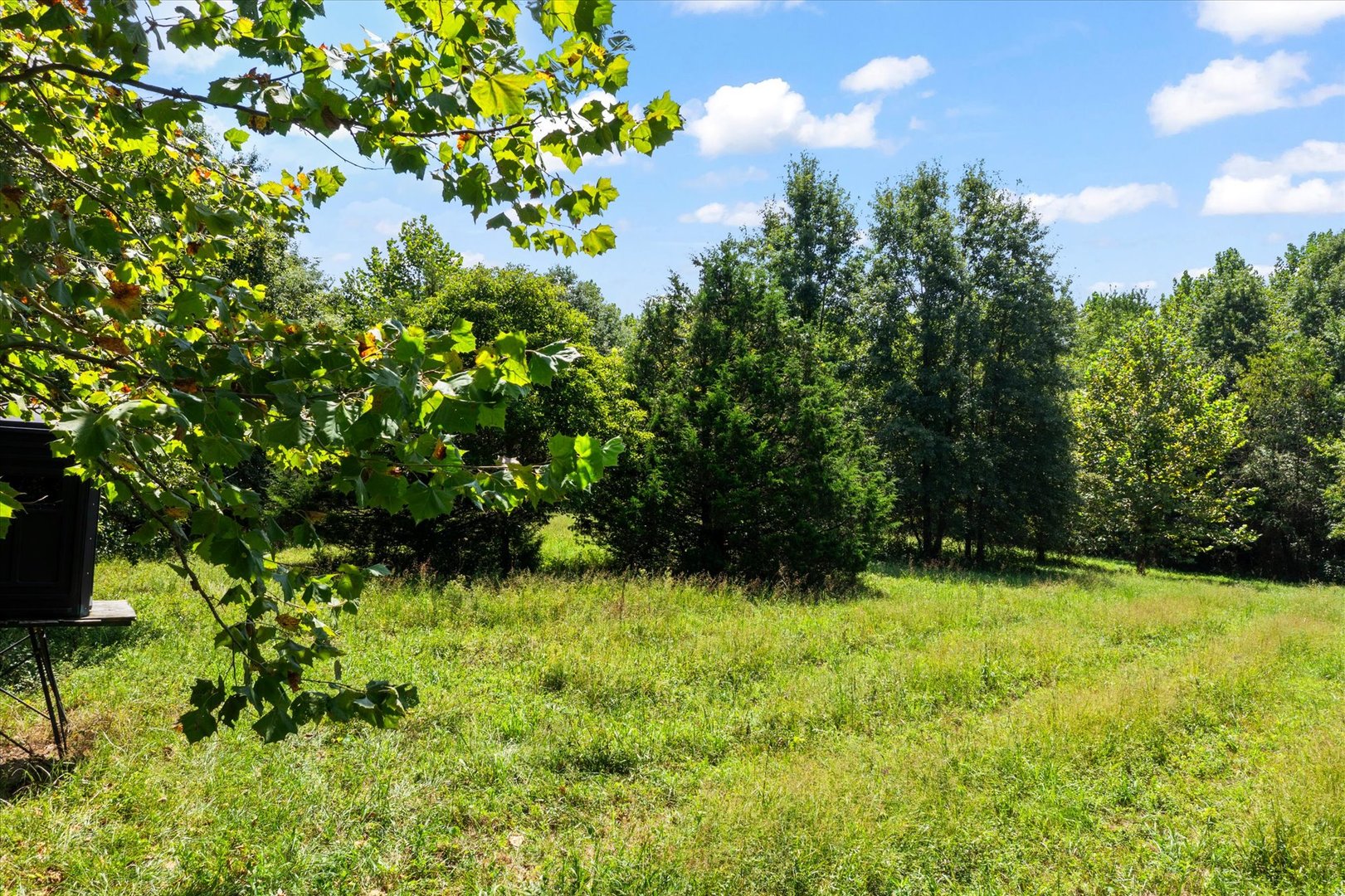 7302 River Road Property Photo 51
