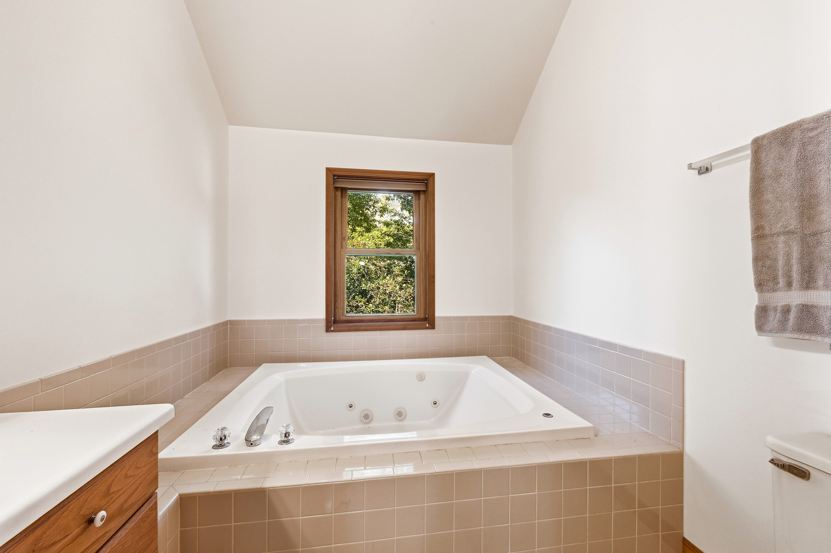 3429 Wolf Road Property Photo 34