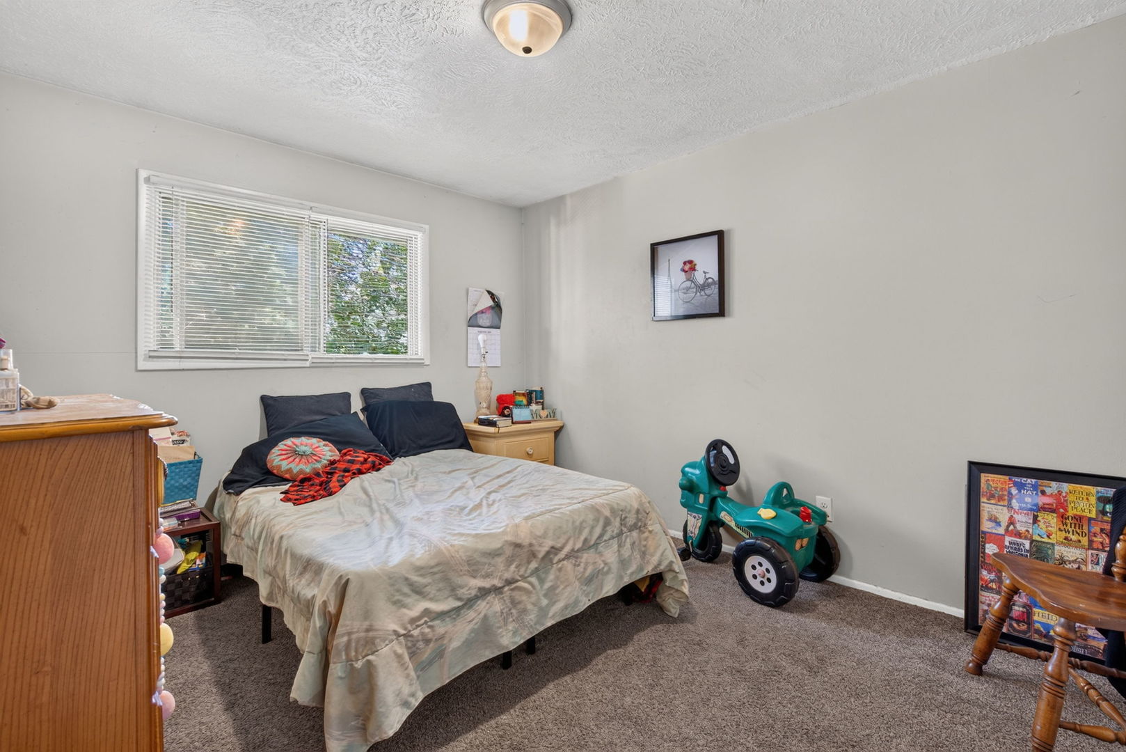 1525 E Risser Street Property Photo 54