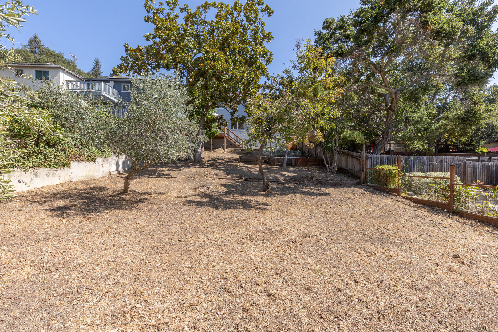 3215 Guido Street Property Photo 21
