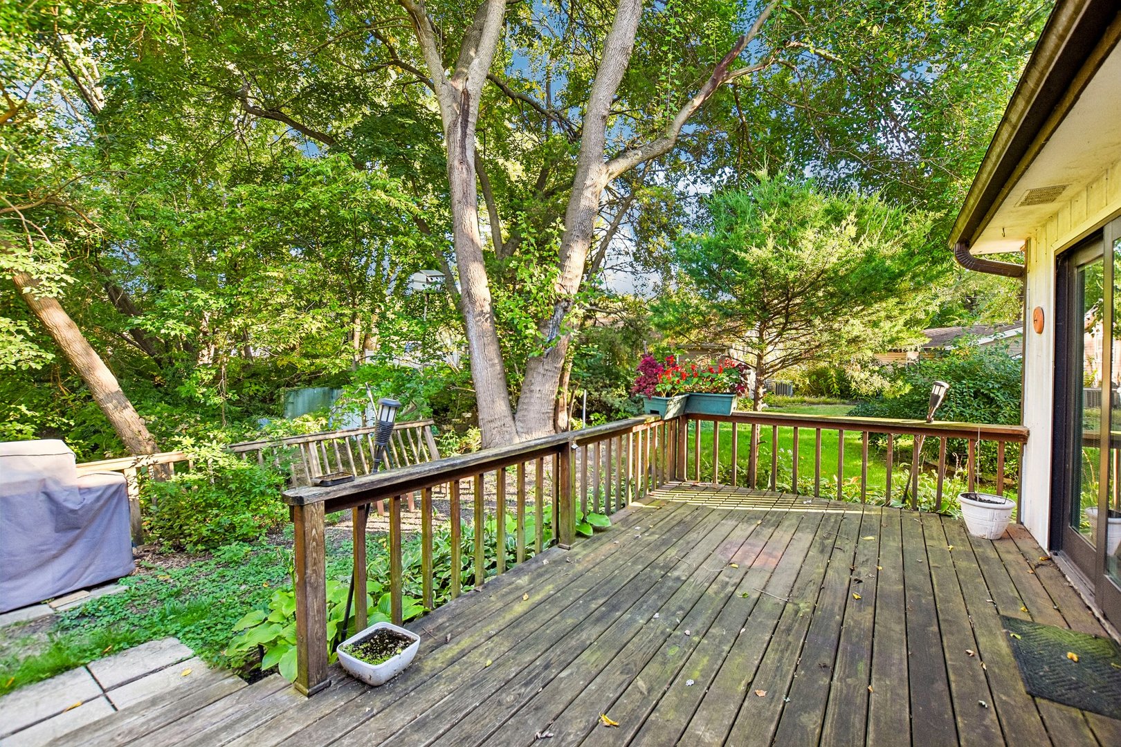 3520 Blue Gill Court Property Photo 27