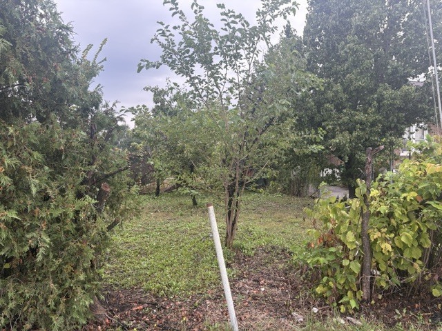 620 County Line Road Property Photo 14