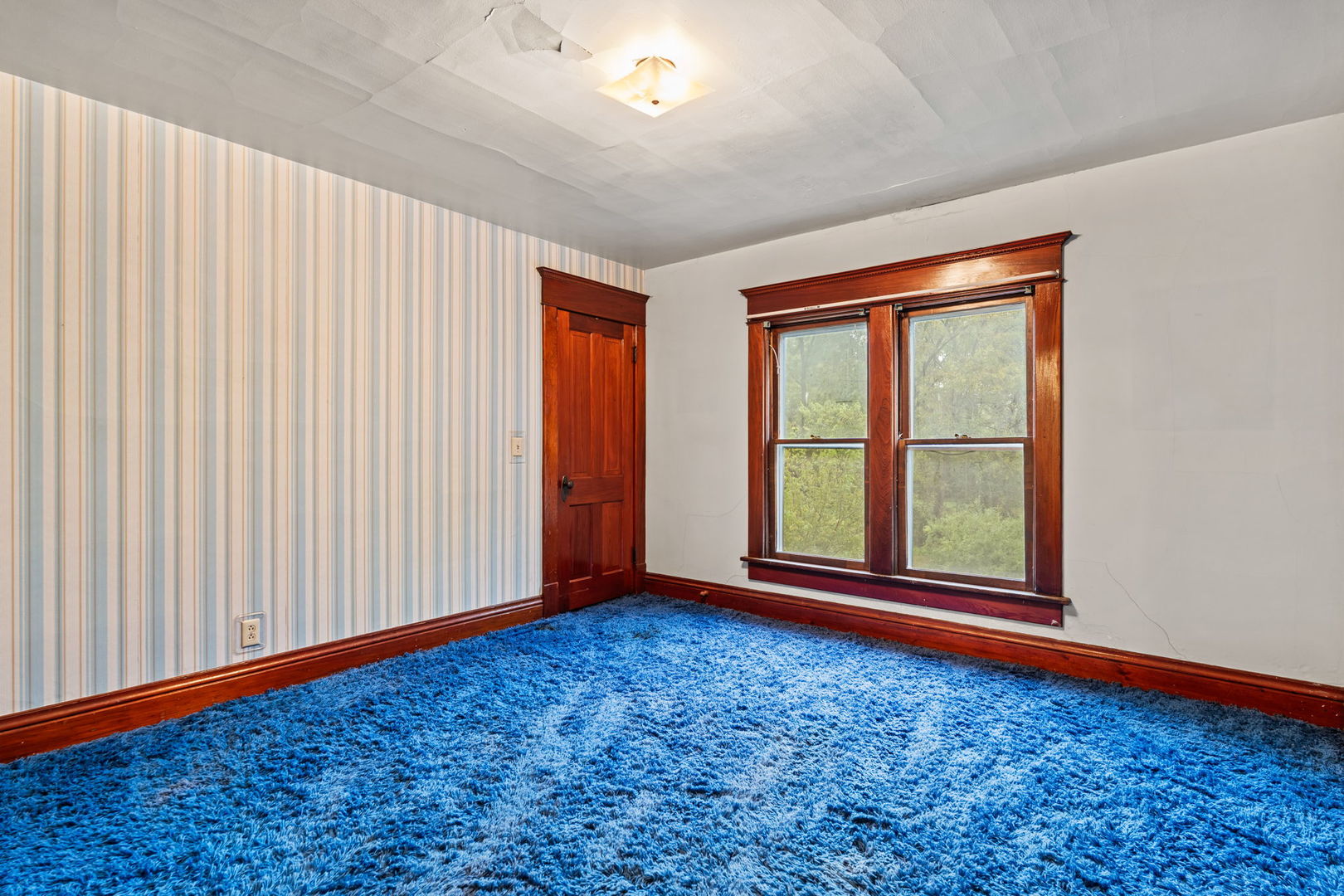 1315 Albany Street Property Photo 13
