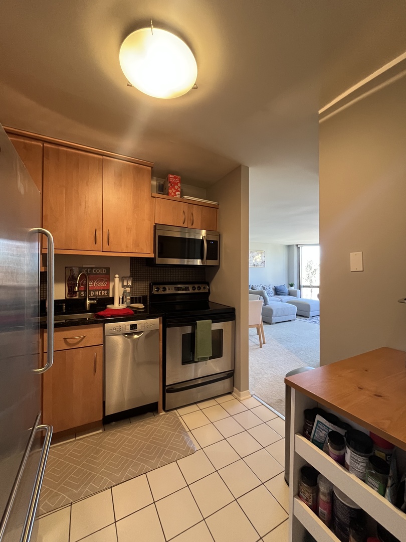 2650 N Lakeview Avenue 1507 Property Photo 7