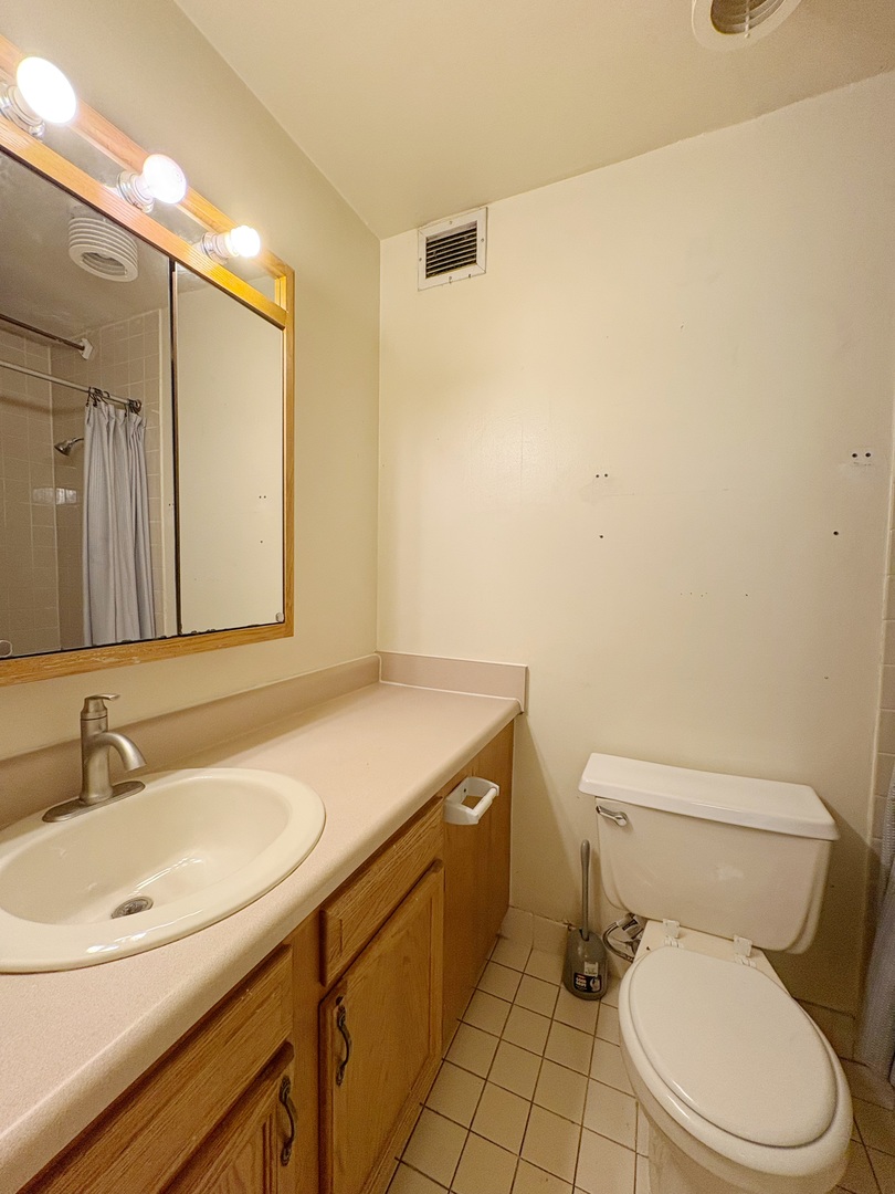 3021 S Michigan Avenue 306 Property Photo 11