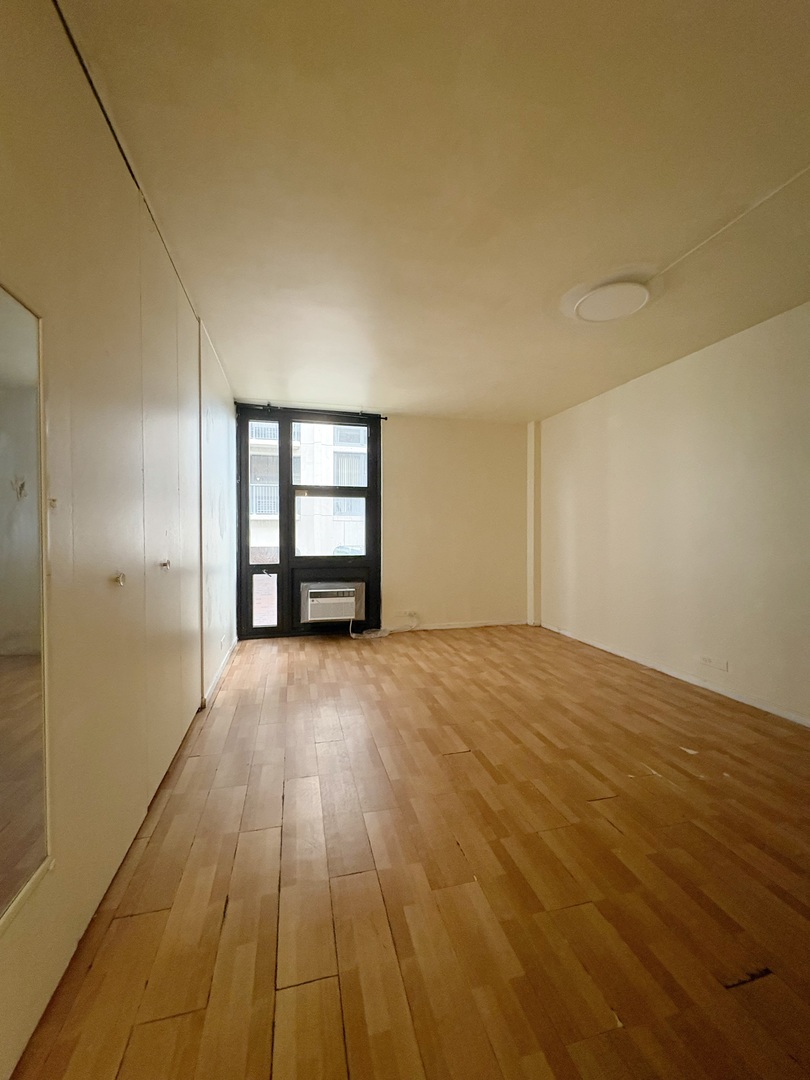 3021 S Michigan Avenue 306 Property Photo 14
