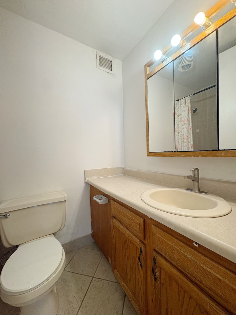 3021 S Michigan Avenue 306 Property Photo 15