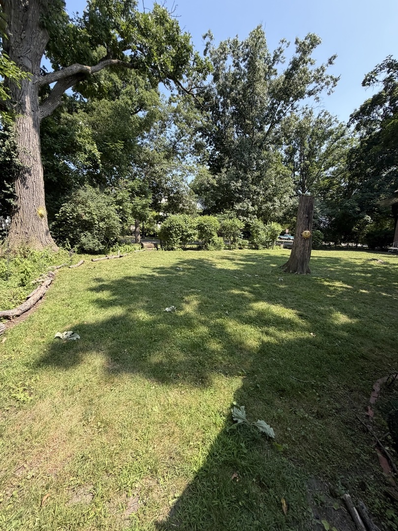 2530 Mcdaniel Avenue Property Photo 3