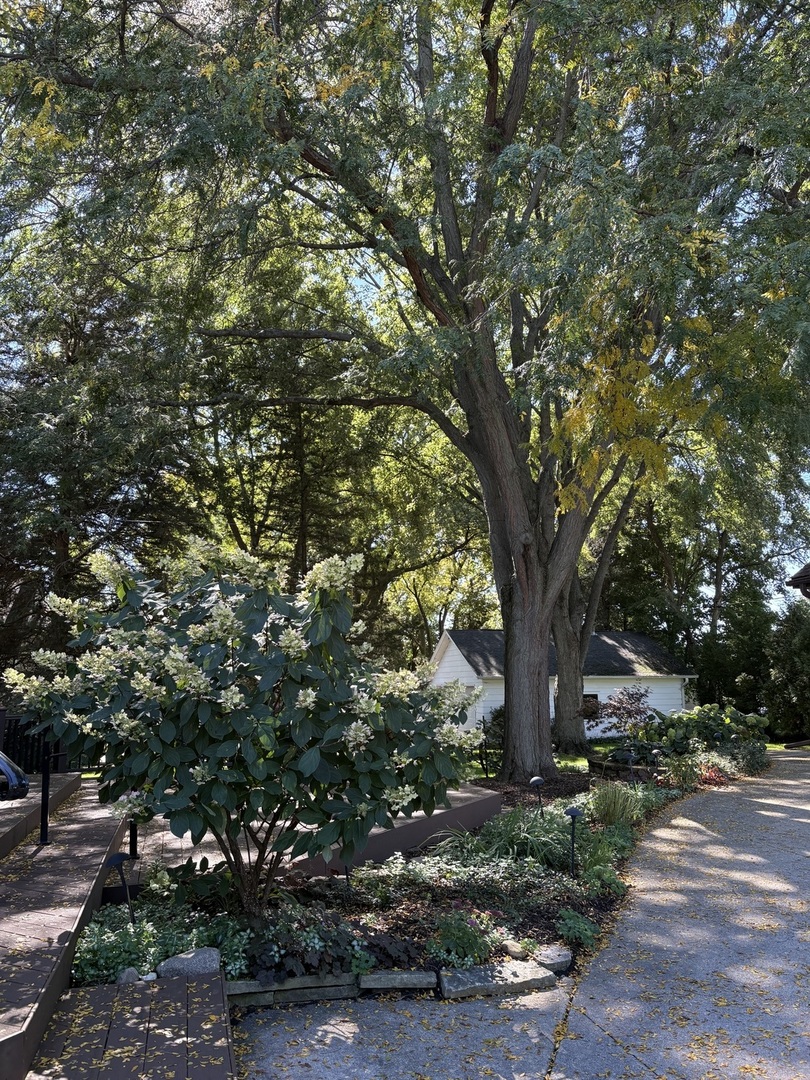 1026 Spafford Street Property Photo 44