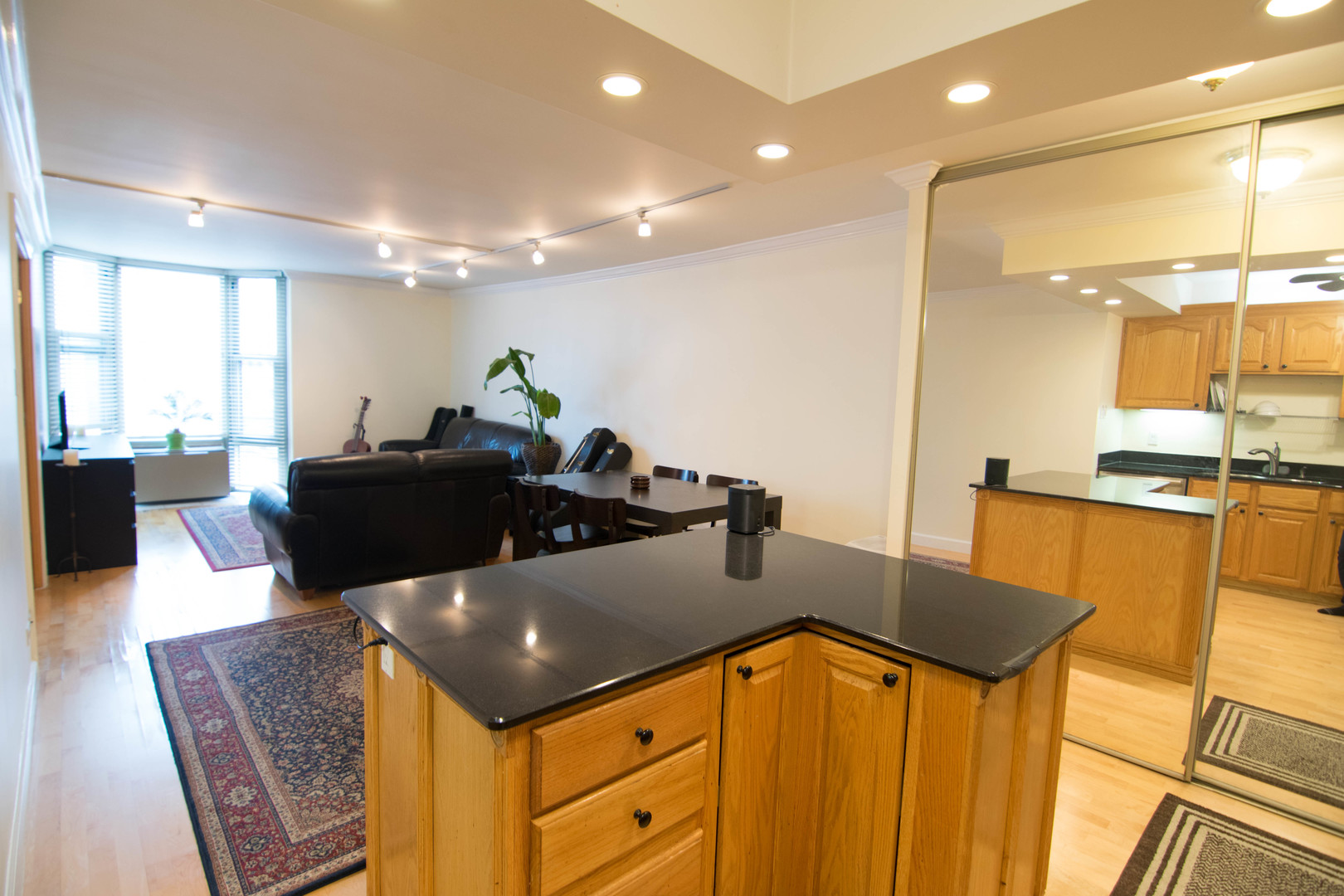 1340 N Dearborn Parkway 8b Property Photo 8