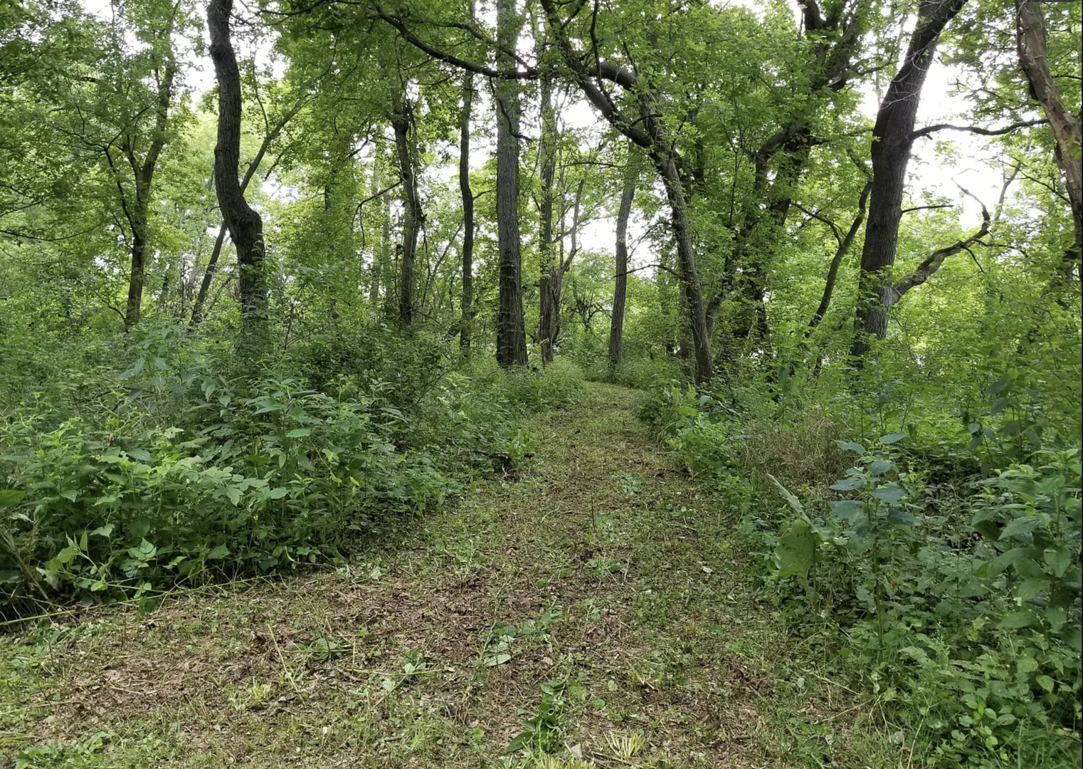 1276 N Tower Road Property Photo 6
