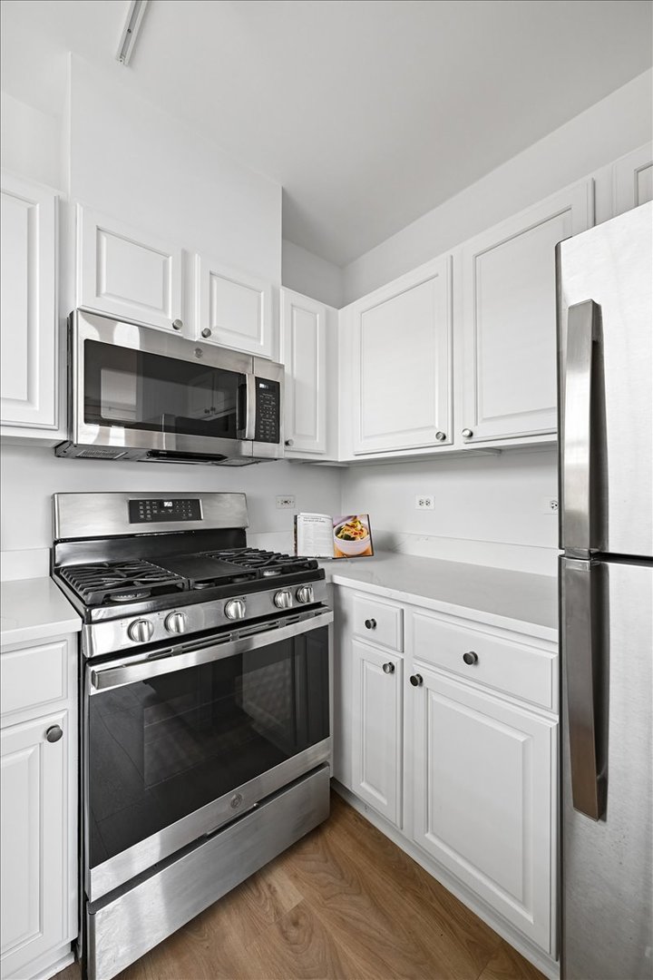 1341 N Halsted Street 3n Property Photo 10