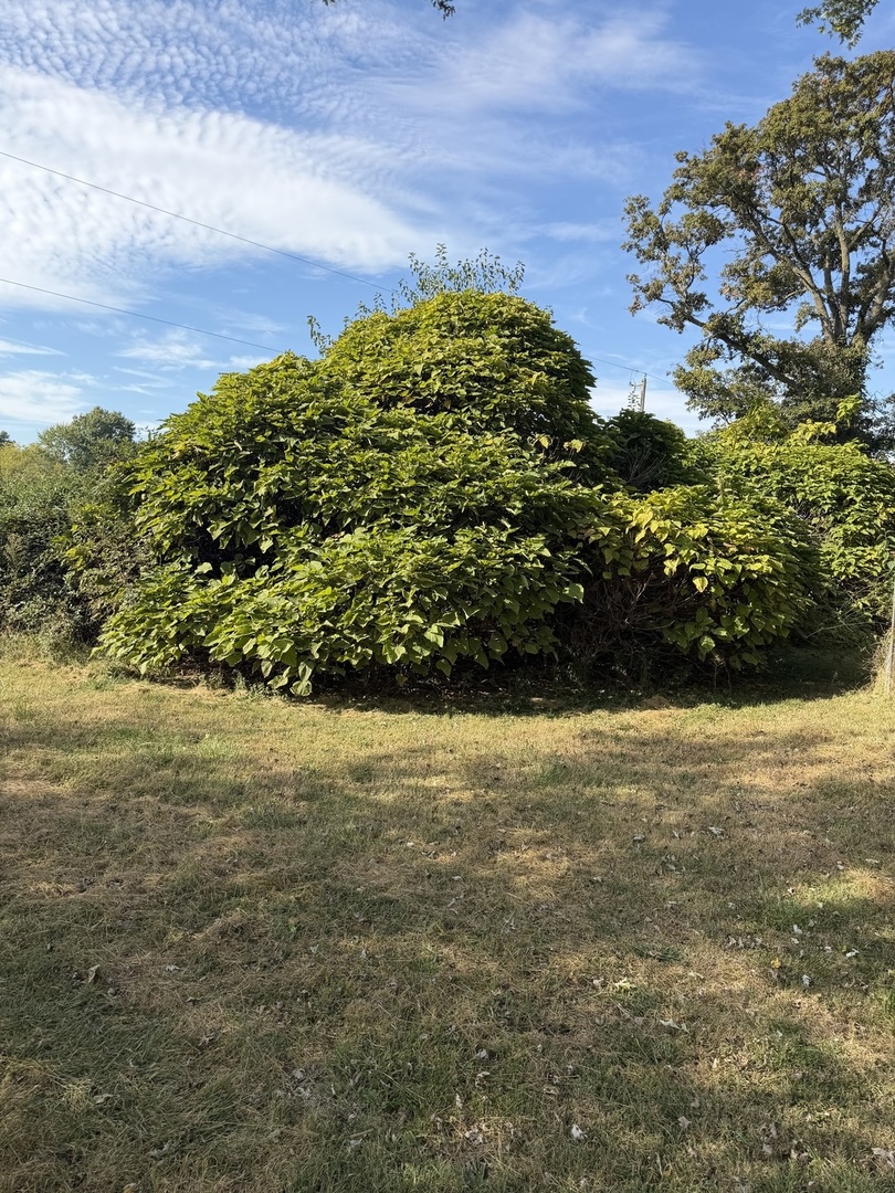 8141 E Tamaroa Road Property Photo 8
