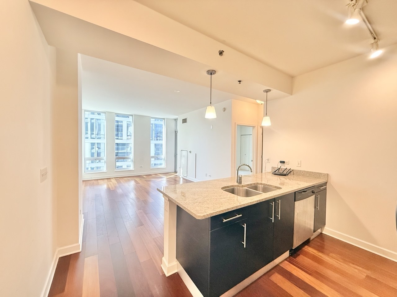 1400 S Michigan Avenue 1111 Property Photo 8