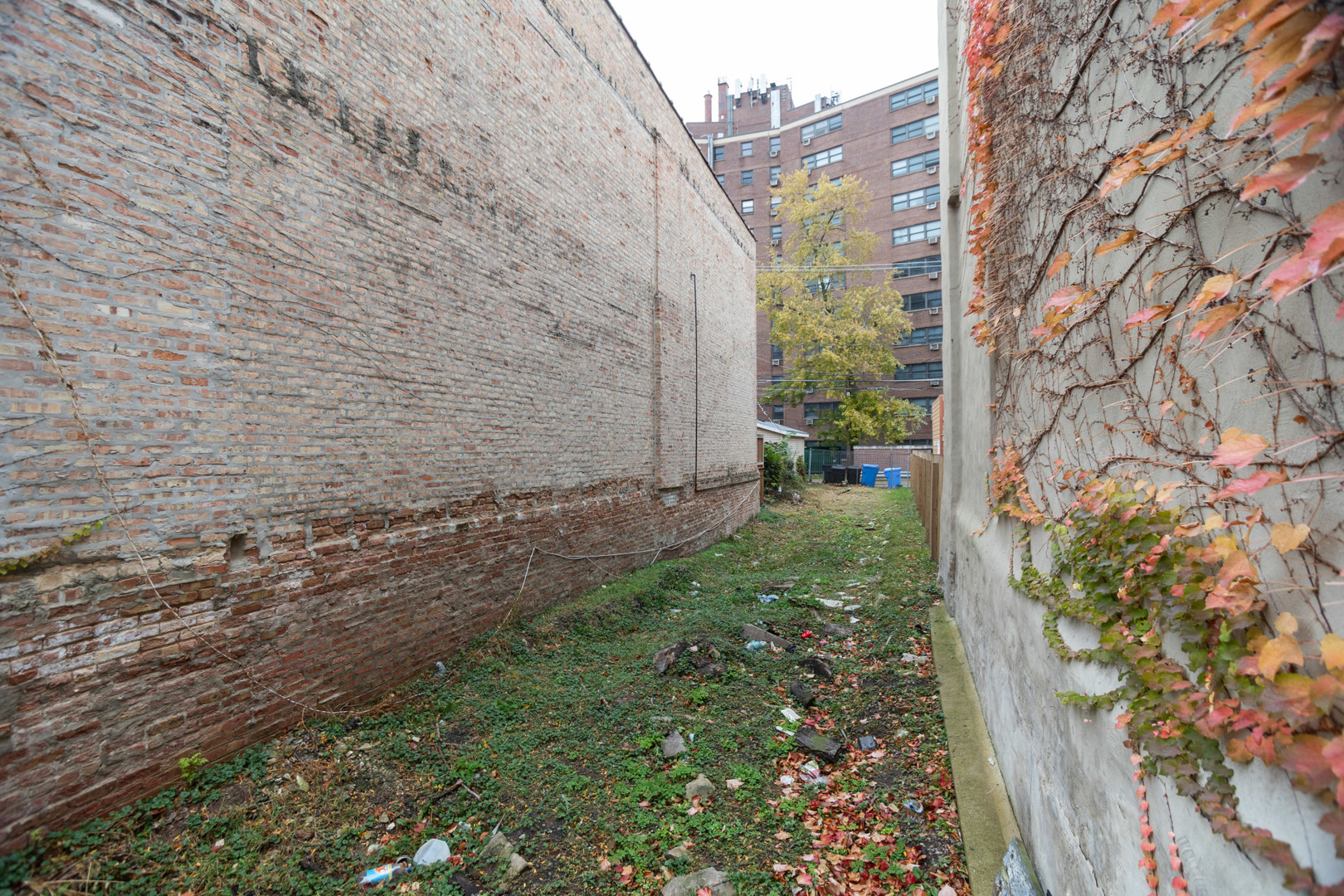 4923 S Champlain Avenue Property Photo 5