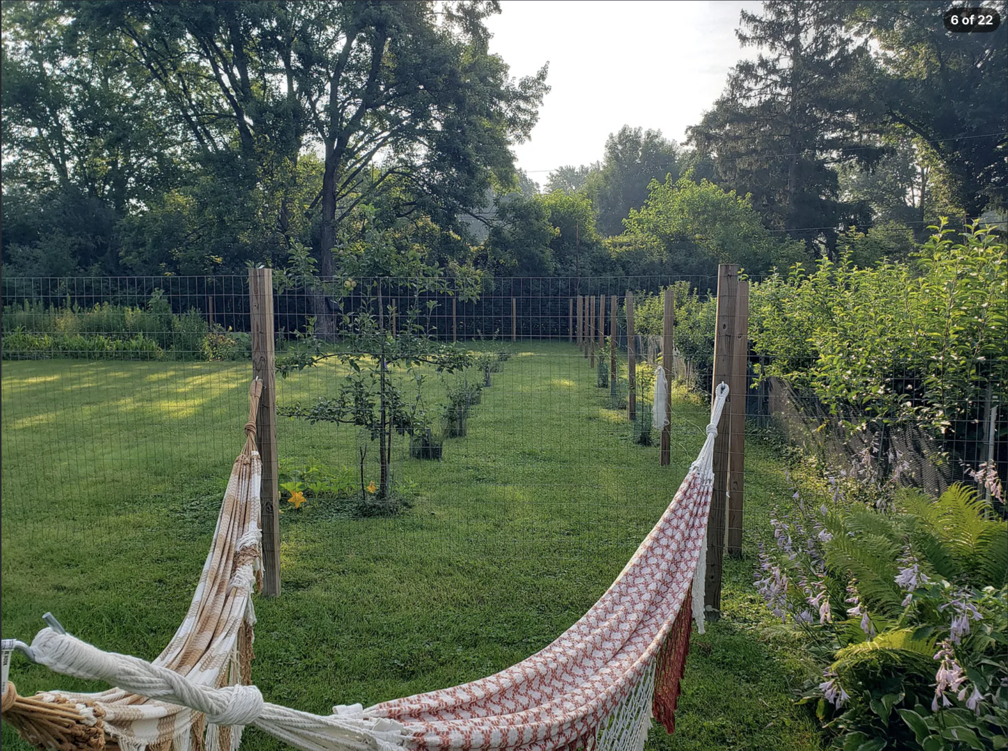20821 Dogwood Street Property Photo 18