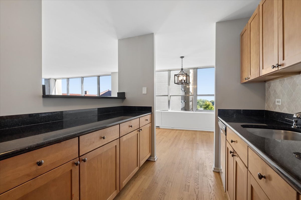 655 W Irving Park Road 502 Property Photo 9
