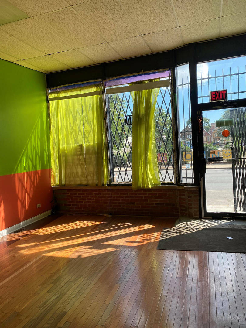 2230 S Kedzie Avenue Property Photo 4