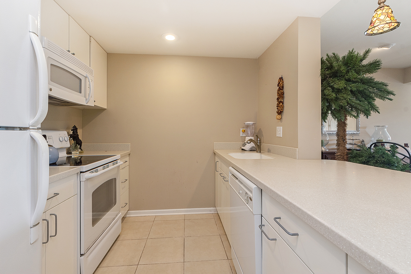 13233 Bundoran Court Property Photo 29