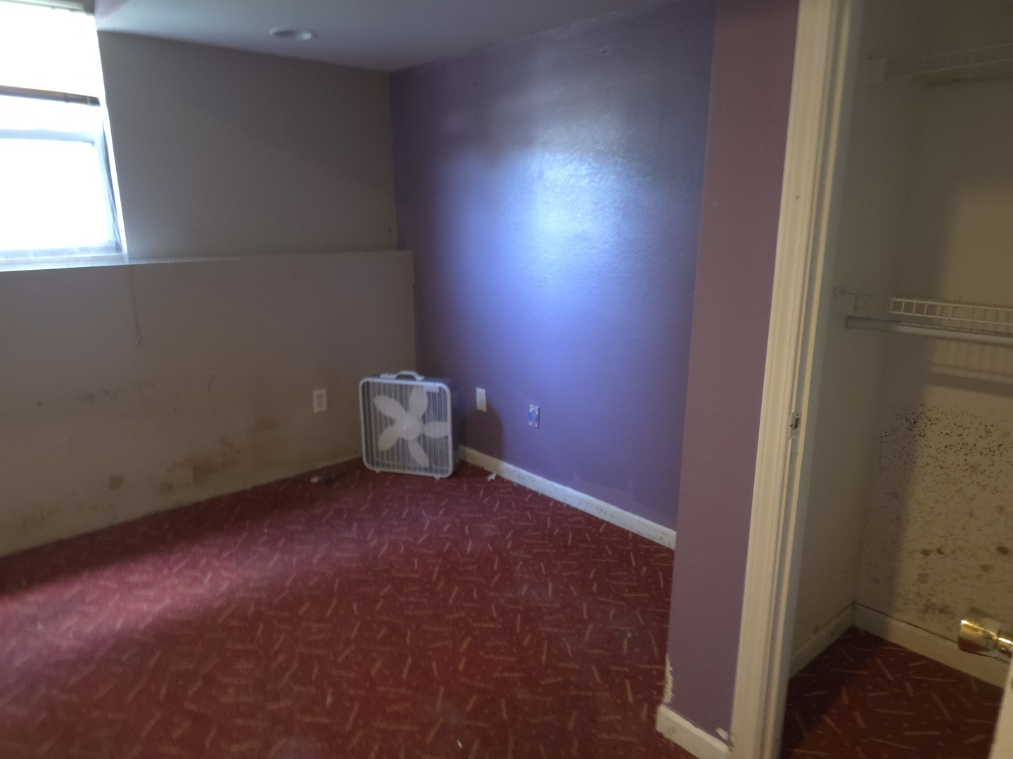 9235 Segunda Lane Property Photo 11