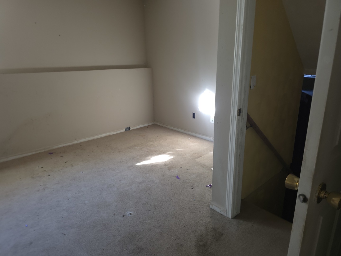 9235 Segunda Lane Property Photo 14
